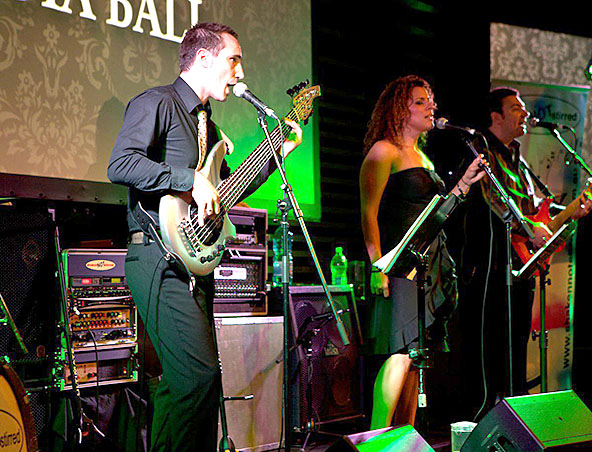 Shaken Not Stirred Cover Band Adelaide - Musicians Singers